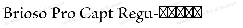 Brioso Pro Capt Regu字体转换